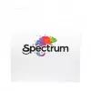 Spectrum PLA Premium 3D-filament 1,75mm Silver Star 1kg
