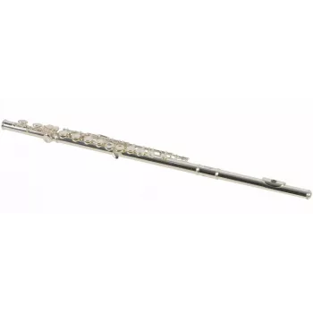 Stagg WS-FL211S verzilverde C-fluit met harde koffer