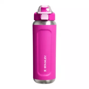 Stanley Wellspring drinkfles 0,71L paars vacuümgeïsoleerd RVS