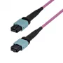 StarTech.com 10m MTP/MPO-12 singlemode OS2 glasvezel-patchkabel - push/pull-lipje