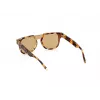 Zonnebril WEB EYEWEAR heren WE0315-0041F (lens/brug/veer) 00/0/145 mm