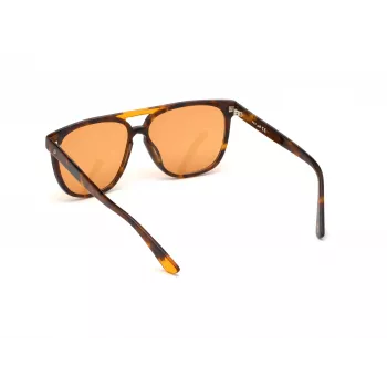 Zonnebril WEB EYEWEAR unisex WE0263-5956J vierkant Havana acetaat montuur groene polycarbonaatglazen 59/13/145 mm UV400
