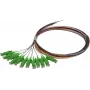 SYNERGY21 S215560 glasvezel-patchkabel-set 2 m OS2 E-2000 (LSH) meerkleurig 12-pack