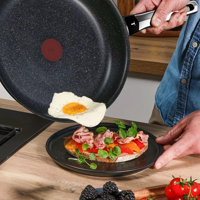 Tefal Expertise Plus 24 cm koekenpan met antiaanbaklaag en Thermo-Spot