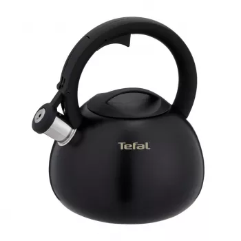 Tefal N4180410 Express Control waterkoker van roestvrij staal, 2,5 L, inductie, zilver/zwart