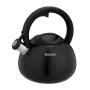Tefal N4180410 Express Control waterkoker van roestvrij staal, 2,5 L, inductie, zilver/zwart