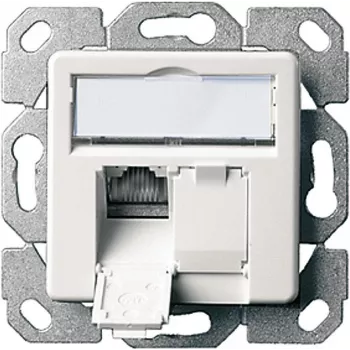 Telegärtner AMJ45 8/8 K Up/50 Cat.6A inbouw datadoos, 2x RJ45, afgeschermd, parelwit RAL 1013 J00020A0501