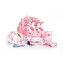 Tempish WILD SKATE kinderen inline skates set met helm & beschermers – verstelbaar EU 26-29