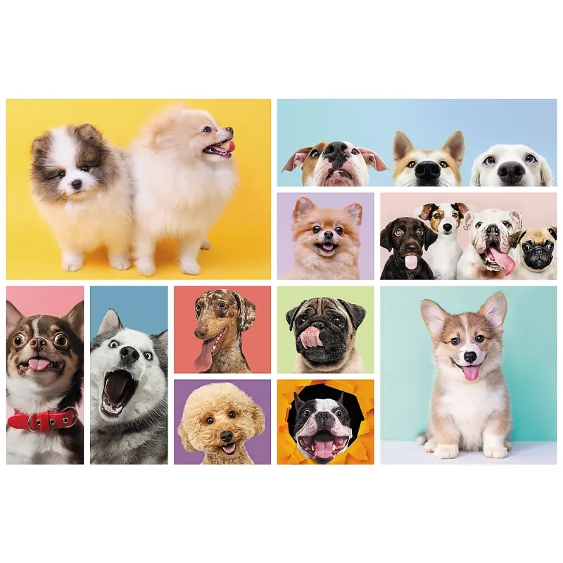 TREFL PUZZLE Puzzel 160 Dog Friendship Trefl 15412