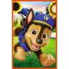 TREFL PUZZLE puzzel - 3x80 - Dog Pack Paw Patrol Trefl 34886