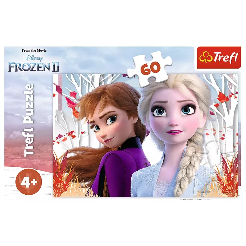 TREFL PUZZLE Puzzel 60 De magische wereld van Anna en Elsa