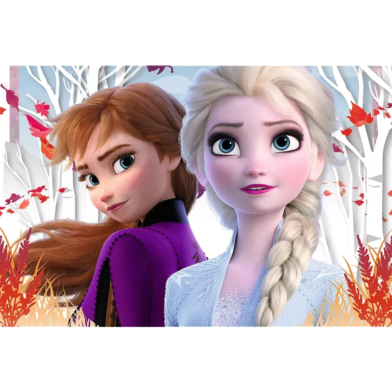 TREFL PUZZLE Puzzel 60 De magische wereld van Anna en Elsa