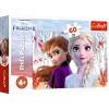 TREFL PUZZLE Puzzel 60 De magische wereld van Anna en Elsa