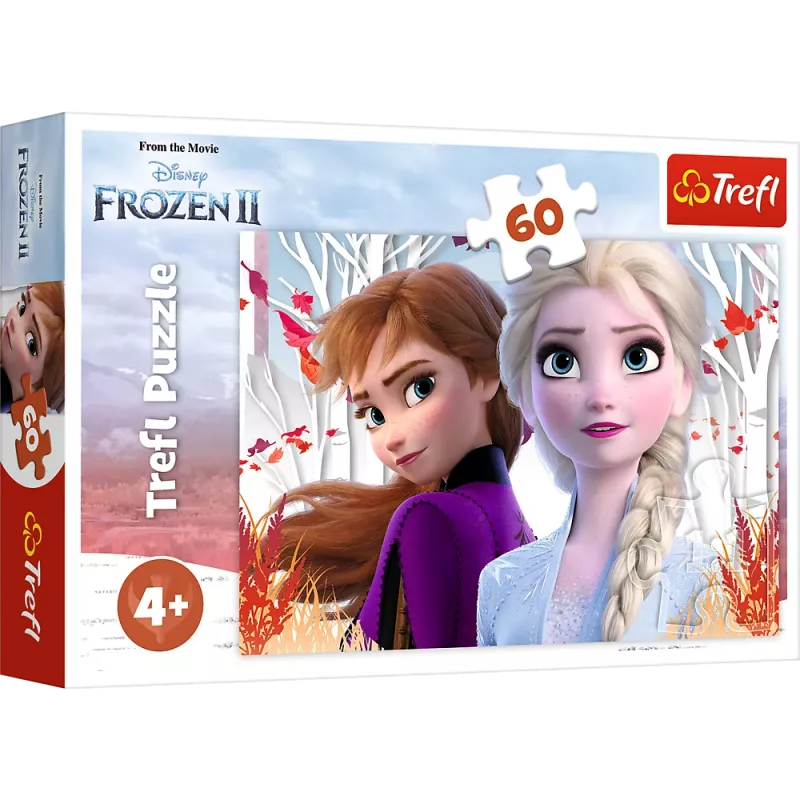 TREFL PUZZLE Puzzel 60 De magische wereld van Anna en Elsa
