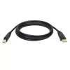 Tripp Eaton Tripp Lite Series USB 2.0 A naar B-kabel (M/M)