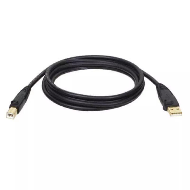 Tripp Eaton Tripp Lite Series USB 2.0 A naar B-kabel (M/M)