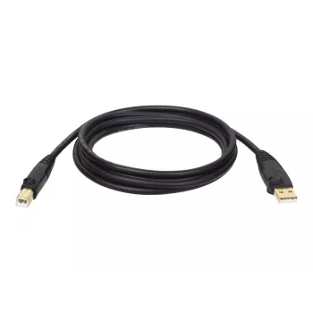 Tripp Eaton Tripp Lite Series USB 2.0 A naar B-kabel (M/M)