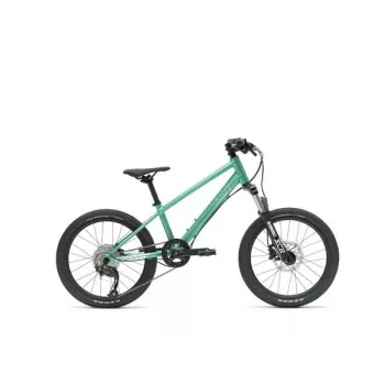VAAST Y/1 mountainbike 20 inch Gloss Teal – junior MTB met super-magnesium frame