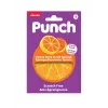 Vileda Punch Strong Orange schuurspons, 1 stuk