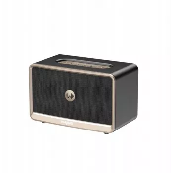 W-King H330 draagbare draadloze Bluetooth-luidspreker 30W IPX6 zwart