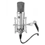Warm Audio WA-67 buiscondensatormicrofoon zilver studiomicrofoon