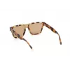 WEB EYEWEAR MAN WE0314-0041F Zonnebril Havana acetaat montuur Bruin verloopglas 54-19-145