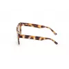 WEB EYEWEAR MAN WE0314-0041F Zonnebril Havana acetaat montuur Bruin verloopglas 54-19-145