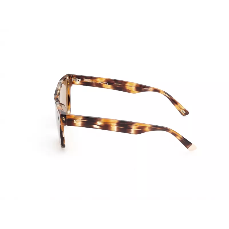 WEB EYEWEAR MAN WE0314-0041F Zonnebril Havana acetaat montuur Bruin verloopglas 54-19-145