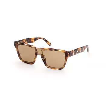 WEB EYEWEAR MAN WE0314-0041F Zonnebril Havana acetaat montuur Bruin verloopglas 54-19-145