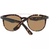 WEB EYEWEAR WE0146-5252G unisex zonnebril Havana montuur grijs verloopglas 52mm