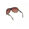 WEB EYEWEAR dames WE0290-6552F havana bruin rechthoekige cat eye zonnebril 65/12/115 mm
