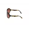 WEB EYEWEAR dames WE0290-6552F havana bruin rechthoekige cat eye zonnebril 65/12/115 mm