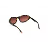 WEB EYEWEAR dames zonnebril WE0288-6052F Havana grijs verloop 60/18/125 mm