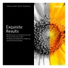 Xerox origineel tonerpatroon met extra hoge capaciteit, geel