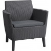 KETER tuinstoelen 2 stuks Salemo Duo grijs