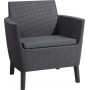 KETER tuinstoelen 2 stuks Salemo Duo grijs